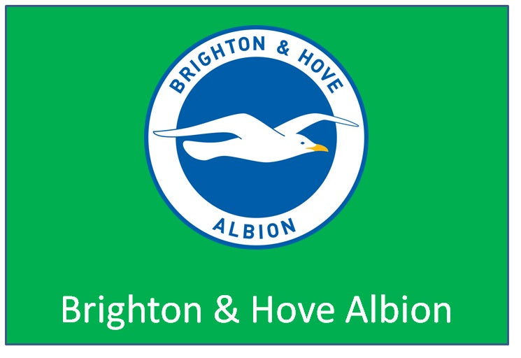 Premier League – Brighton & Hove Albion