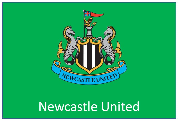 Premier League – Newcastle United
